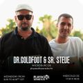 17.11.21 MICROSURCOS - Dr. GOLDFOOT  AND Sr. STEVE