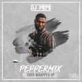 2020 WRAPPED UP #PepperMix UK / US HIP HOP & RAP