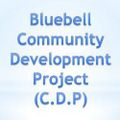 Interview with Tommy Coombes & Paul Holmes, Bluebell Community Development Project - 7th March 2023