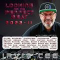 Looking for the Perfect Beat 2022-11 - RADIO SHOW by Irvin Cee