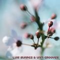 Luis Suarez & Unit Grooves (collab - Feb. 2017)