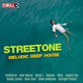 Streetone - Melodic Deep House & Nu Disco Mix 01. 2020 - by DJ Cirillo