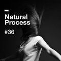 Natural Process #36