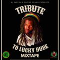 DJ PARTOH TRIBUTE TO LUCKY DUBE LIVE MIXX