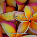 Tranquility Drones 03 mixed by Mike G