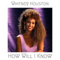 Whitney Houston - How Will I Know (John Michael & Floor One Remix)