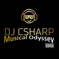 DJ CSharp: Musical Odyssey