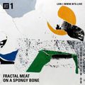 Fractal On. Spongy Bone - 19th April 2021