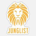 Jungle Skankin' - Hedex, L-Side, Amplify, Eksman, MC GQ, 4am Kru, Selecta J-Man, Marvellous Cain
