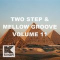 2 Step Mix - Volume 11