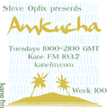 Steve Optix Presents Amkucha on Kane FM 103.7 - Week 100
