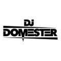 DJ DOMESTER - R&B Hip-Hop Hits