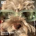 Pickles Radio w/ SOSUPERSAM - 21st April 2020