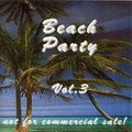 BeachBoyGroup Beach Party 3