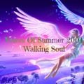 dj GT - Voices Of Summer 2004 (Walking Soul)