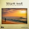 Second Wave Mixtape | Surfing Nine Palms, BCS