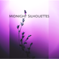 Midnight Silhouettes 2-13-22