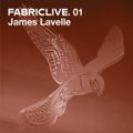 JAMES LAVELLE - FABRICLIVE 1 - #DJ-Mix #Freestyle #Breaks