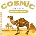 A Tribute to Cosmic Disco vol. 13