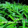 July 2022 deep music mix 100