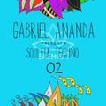 Gabriel Ananda Presents Soulful Techno 02: Gabriel Ananda