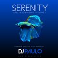 DJ PAULO-SERENITY Vol 1 (Chill & Downtempo) July 2023