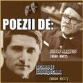 Va ofer un medalion Poezii de Toparceanu si Arghezi , in interpretarea  actoriilor : Draga Olteanu