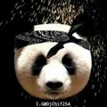 DJ CHIF-HIP HOP TAKEOVER VOL.6 (Panda Mix)
