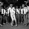 Snip - Tigrou Roller Dance (01-2022) W/. Funkadelic - Chaka Khan - Zapp & Roger - Curtis Mayfield...