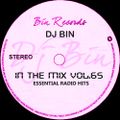 Dj Bin - In The Mix Vol.65