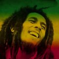 Bob Marley reggae party mix by Mumu