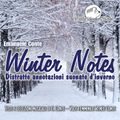 Winter Notes