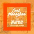 Carl Hanaghan Presents The Sound Of Stereo Sushi : Volume 1