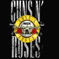 Guns And Roses Mix