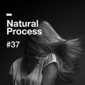 Natural Process #37
