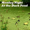 Monday Night - At the Duck Pond 009 Wizkid - Stephan Lechner - Andreas Punz 2015_02_02