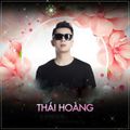 Việt Mix 2019- Tuyệt Tình Ca & Đừng Nói Lời Chia Tay Khi Em Vẫn Còn Yêu-DJ Thái Hoàng
