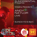 Andy Naylor pure vinyl LIVE on Sundissential Facebook live - 9/8/20