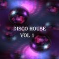 DISCO HOUSE VOL 1 / Various Artist /  Leon El Ray feat Anthony Project / Skyy / Pietro Becci / St Ju