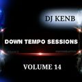 Down Tempo Sessions (Vol. 14)