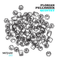 Mo'Jazz 265: Florian Pellissier Quintet Special