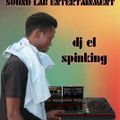 DJ EL SPINKING RAGGARIDDIM VOL2