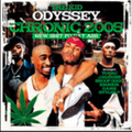 DJ Odyssey - Chronic 2005