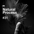 Natural Process #31
