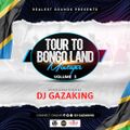 TOUR TO BONGO LAND MIXTAPE VOL 3 - DJ GAZAKING #MRSHALLWE