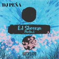 Mix Perfect - Ed Sheeran [DJ PEÑA]2019