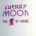 Resident DJ Team (part 1) at Cherry Moon (Lokeren - Belgium) - April 1993