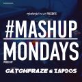 Mash Up Monday - July 2022 - Catchfraze & Zapdos