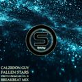 Calzedon Guy - Fallen Stars - Strictly! Promo Mix Vol. 12 - Breakbeat Mix
