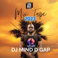DJ MIND D GAP ROOFTOP 2023 AFROBEAT / AMAPIANO MIXTAPE